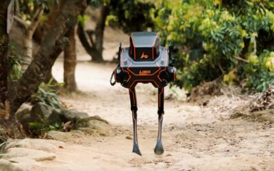 Exploring the Capabilities of LimX Dynamics’ Biped Robot P1